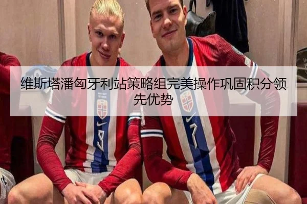 维斯塔潘匈牙利站策略组完美操作巩固积分领先优势